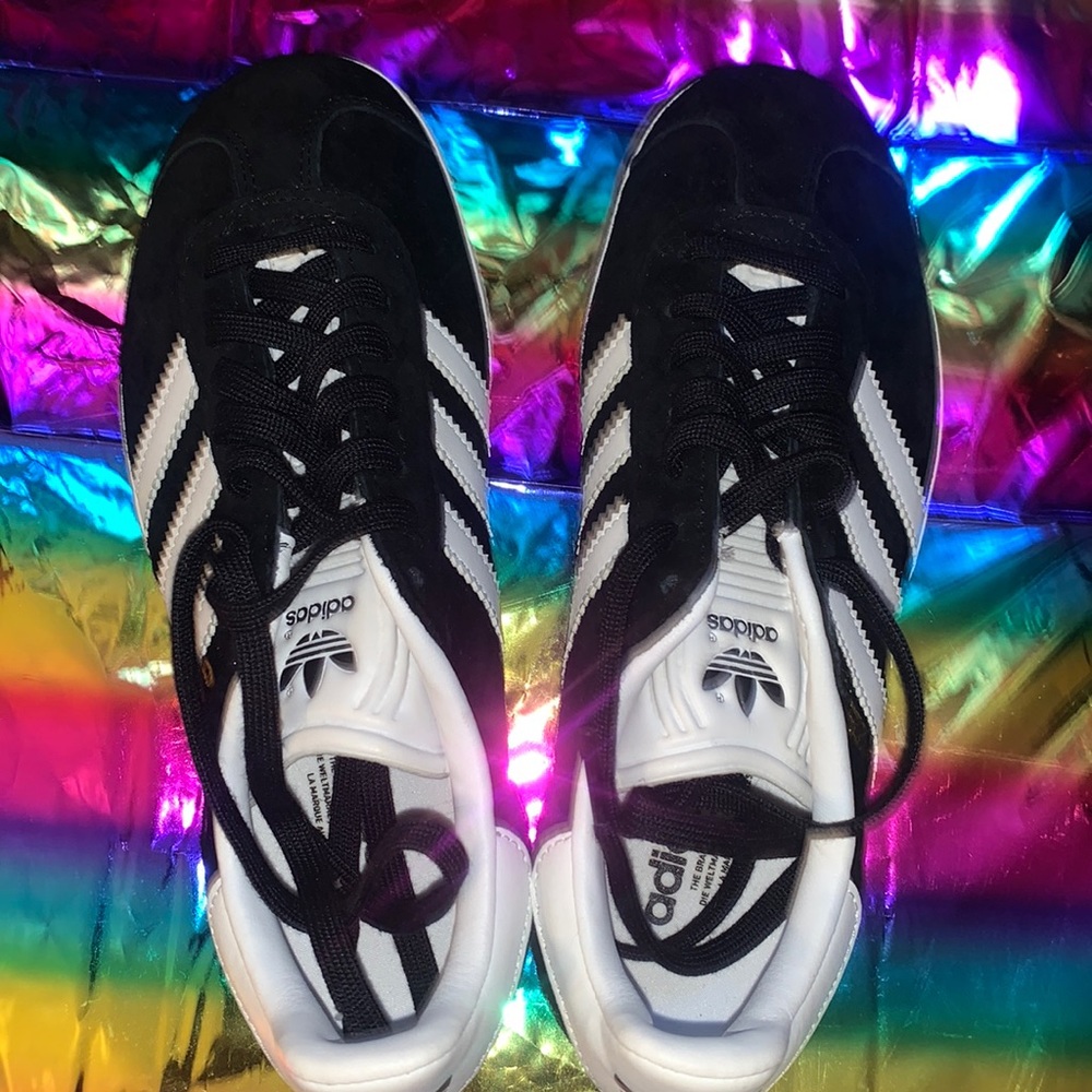 THE 1991 GAZELLE